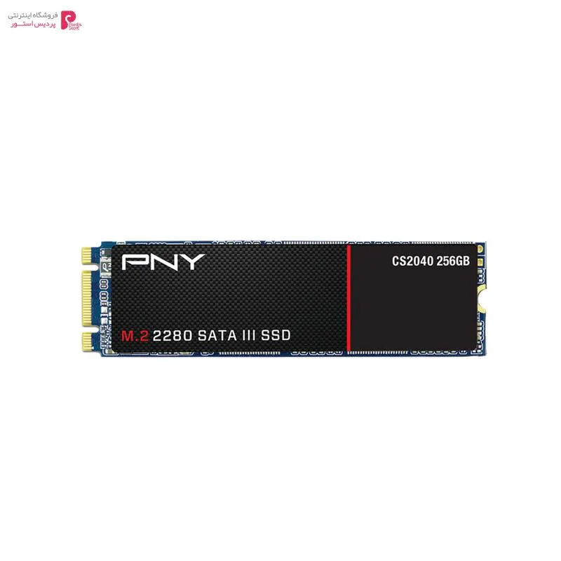 اس اس دی اینترنال پی ان وای مدل CS2040 2280 ظرفیت 256 گیگابایت - 0