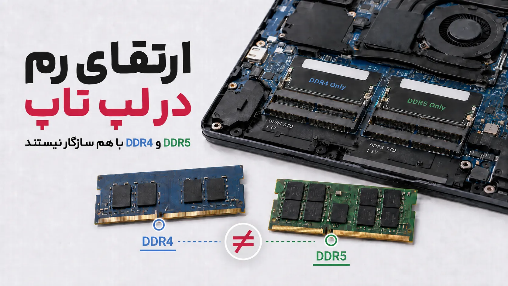 ناسازگاری رم DDR4 و DDR5 در لپ تاپ و تفاوت جایگاه و پشتیبانی این دو نسل حافظه